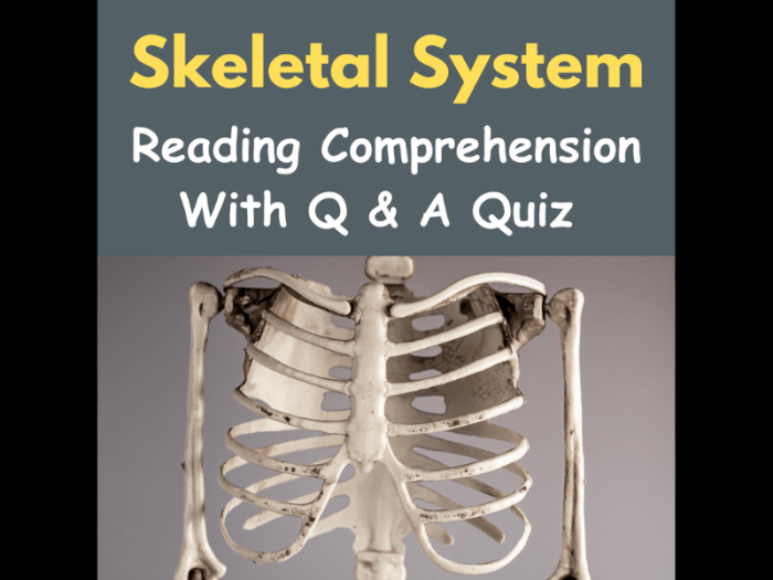 Chapter 5 skeletal system worksheet answers