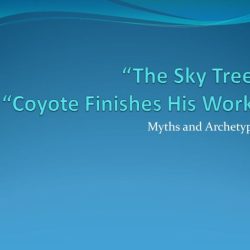 Coyote his