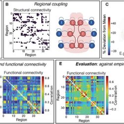 Mouse party neural data matrix answers