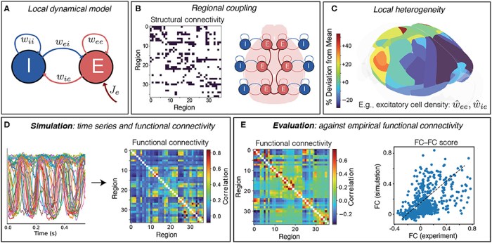 Mouse party neural data matrix answers