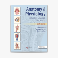 Anatomy speech hearing physiology foundations