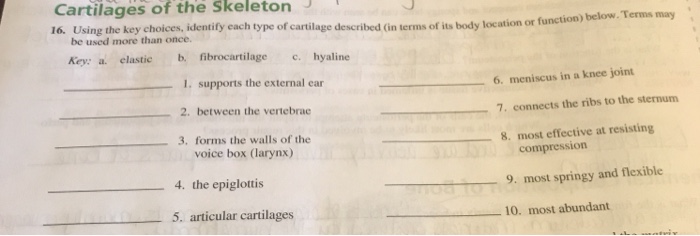 Using the key choices identify each type of cartilage described