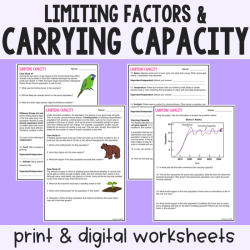 Limiting factors and carrying capacity worksheet key