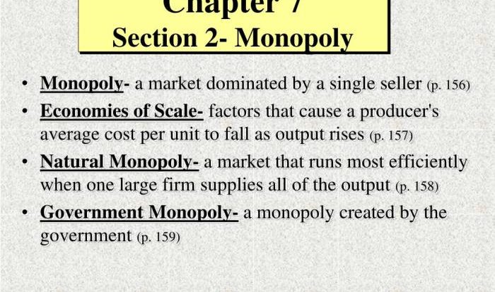 Chapter 7 section 2 monopoly worksheet answers