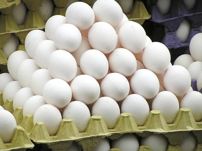 Untreated shell eggs can be the source of servsafe