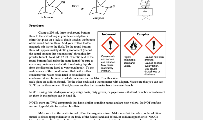 Oxidation of isoborneol to camphor lab report